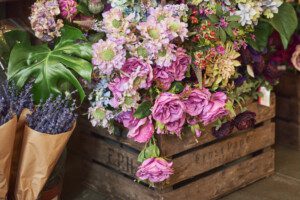 Anemone florists at Milsom Place_autumn_oct20 (2)