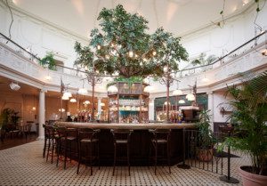 The Botanist at Milsom Place_bar