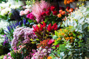 Anemone florists in Milsom Place