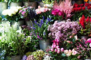 Anemone-florists-in-Milsom-Place